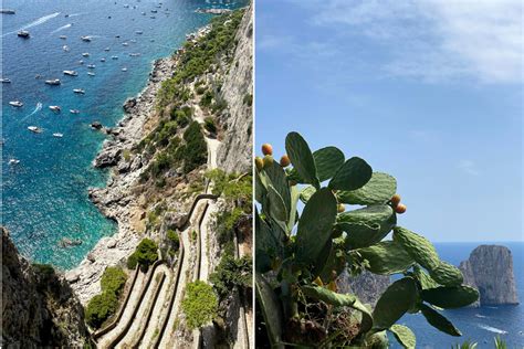 dove visitare capri marittimi.